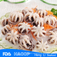 China best quality baby octopus whole exporters